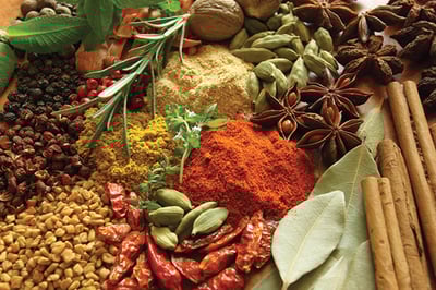 Building Success in Culinary Arts Education