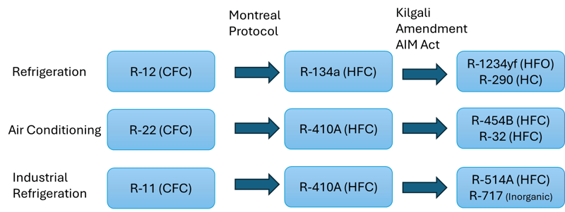 A diagram of a company

Description automatically generated with medium confidence